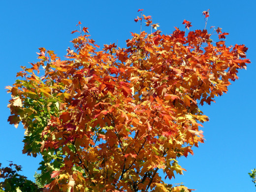 1099846 (a): :2560x1920